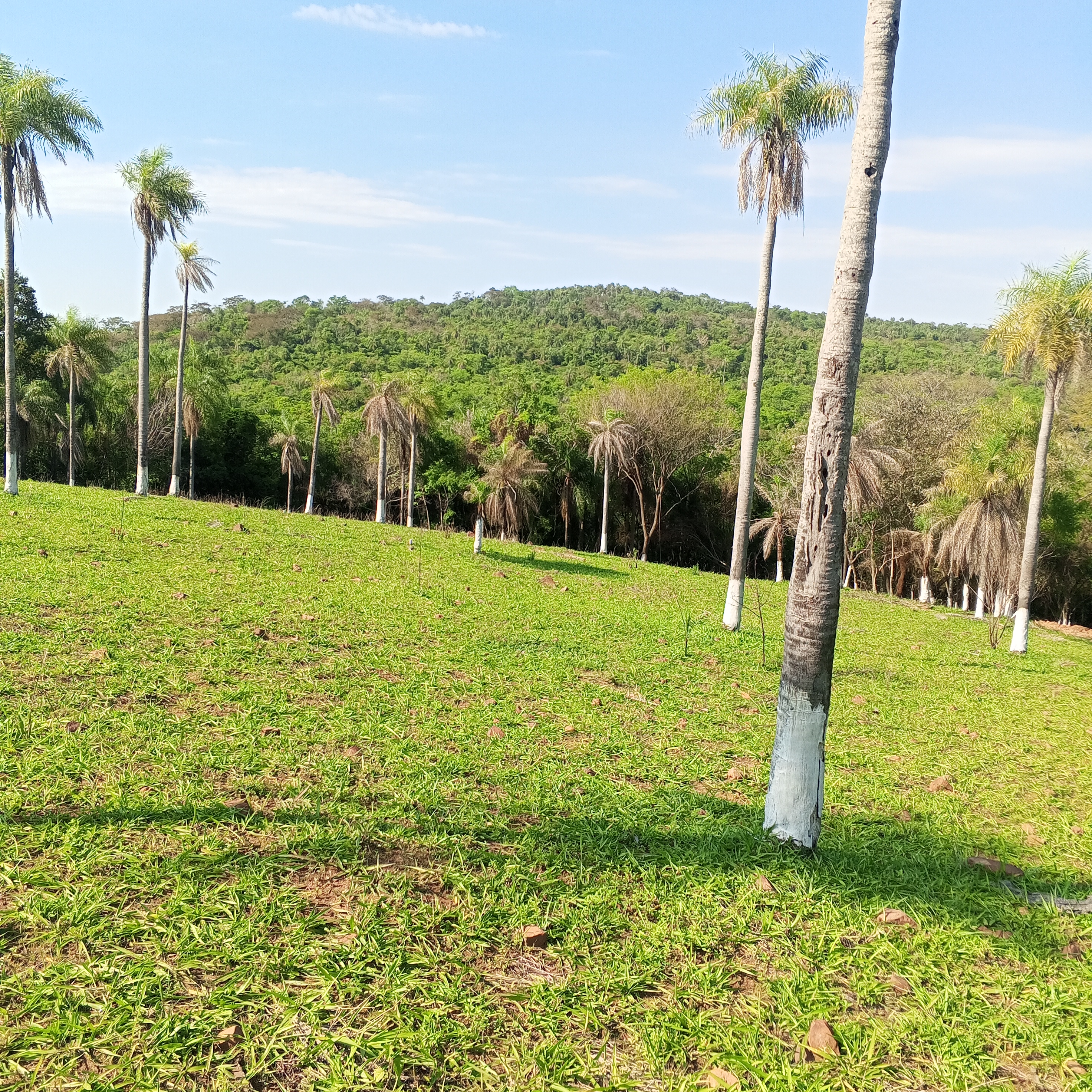 Fracción La Josefina - Itaugua